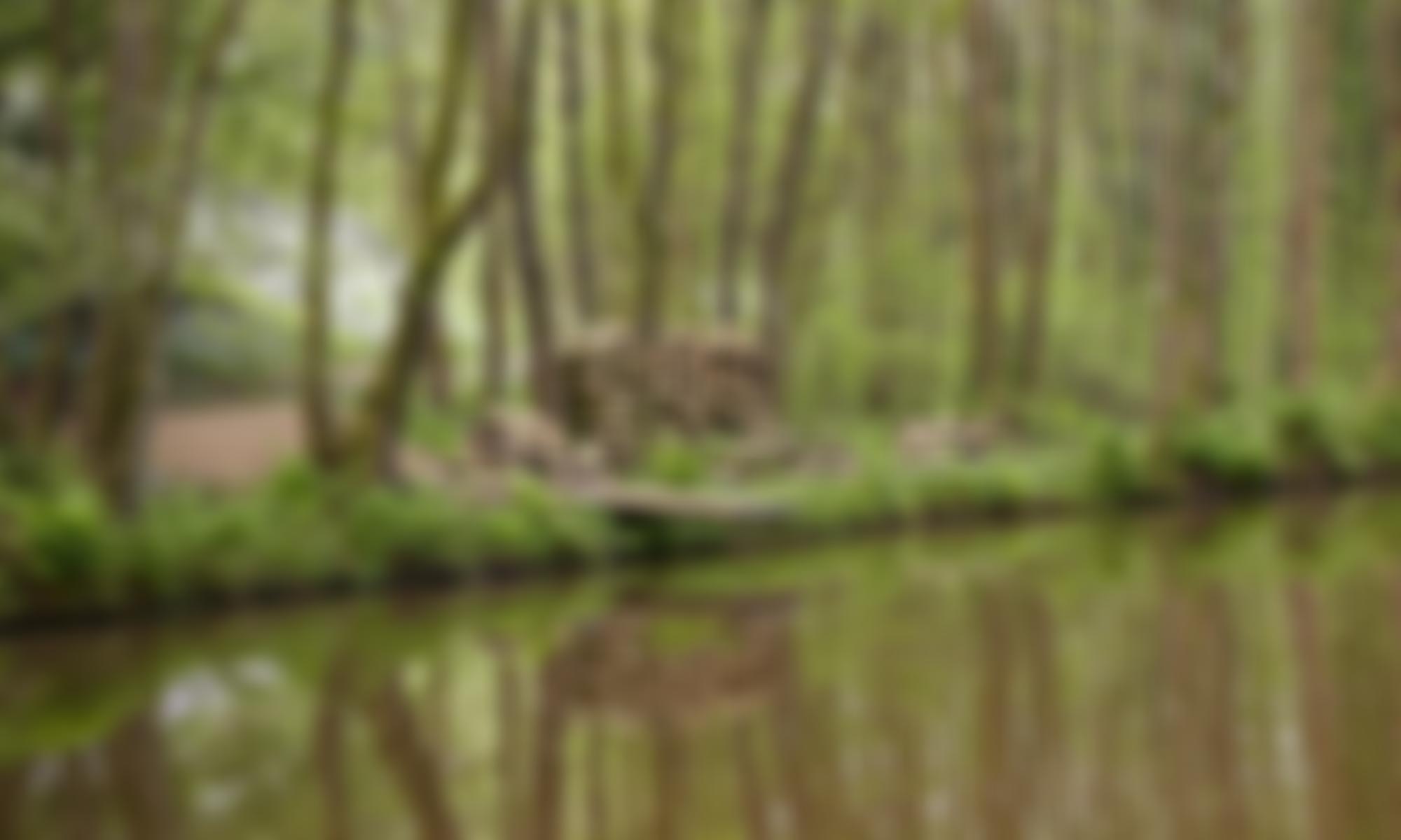 Llangattock Community Woodlands Ltd | Charici