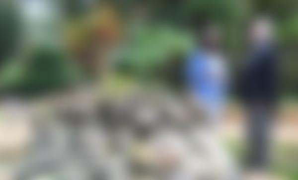 Building Bridges For Peace | Charici