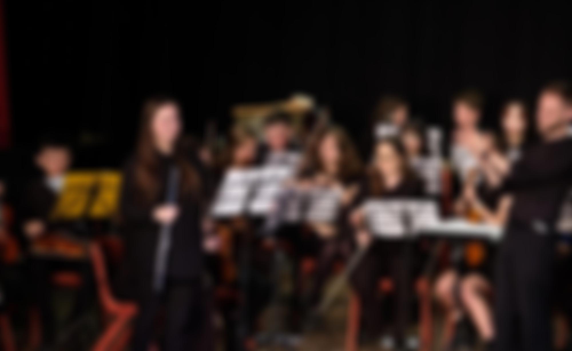 Warrington Youth Orchestra Ltd | Charici