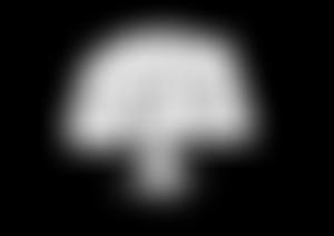 Oaken Palace Records | Charici