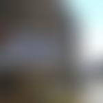 Brighton Light Trust | Charici