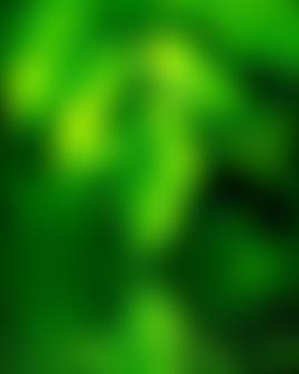 Reigate Community Counselling Centre | Charici