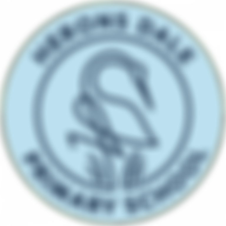 The Friends Of Herons Dale Primary School | Charici