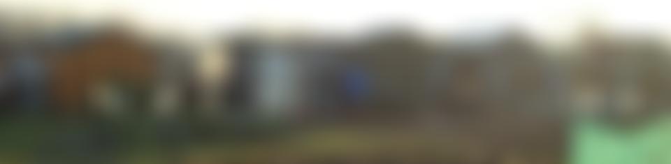 Mile Road Allotment And Leisure Gardeners Association | Charici