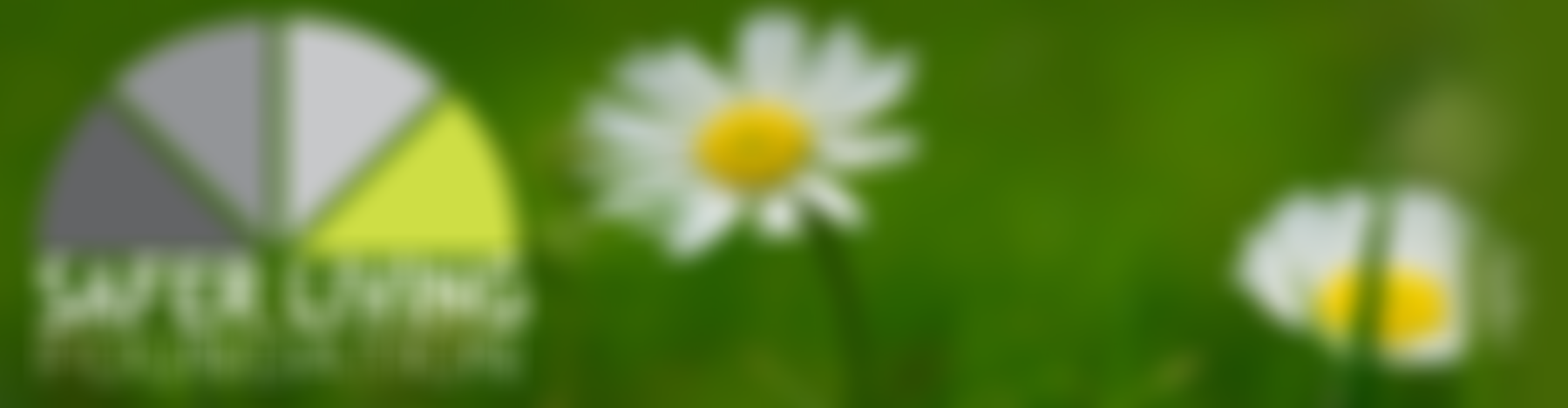 Safer Living Foundation | Charici