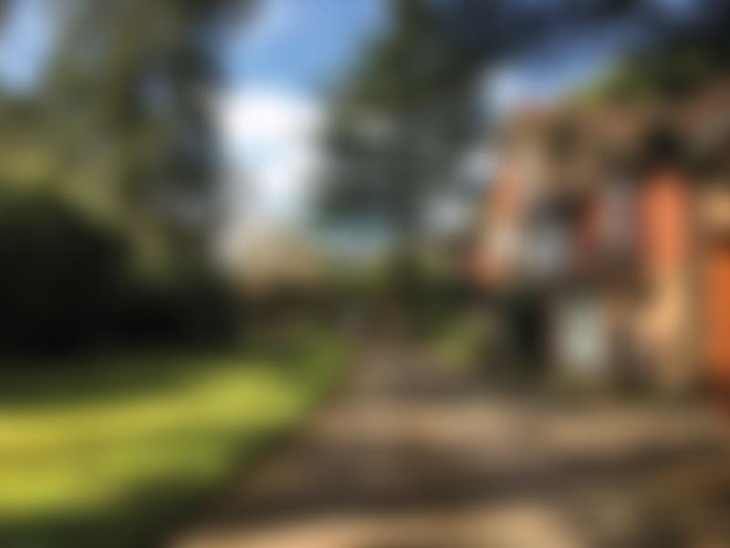 International College Of Oriental Medicine (UK) Limited | Charici