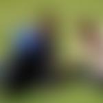 Love Of God International Ministries | Charici