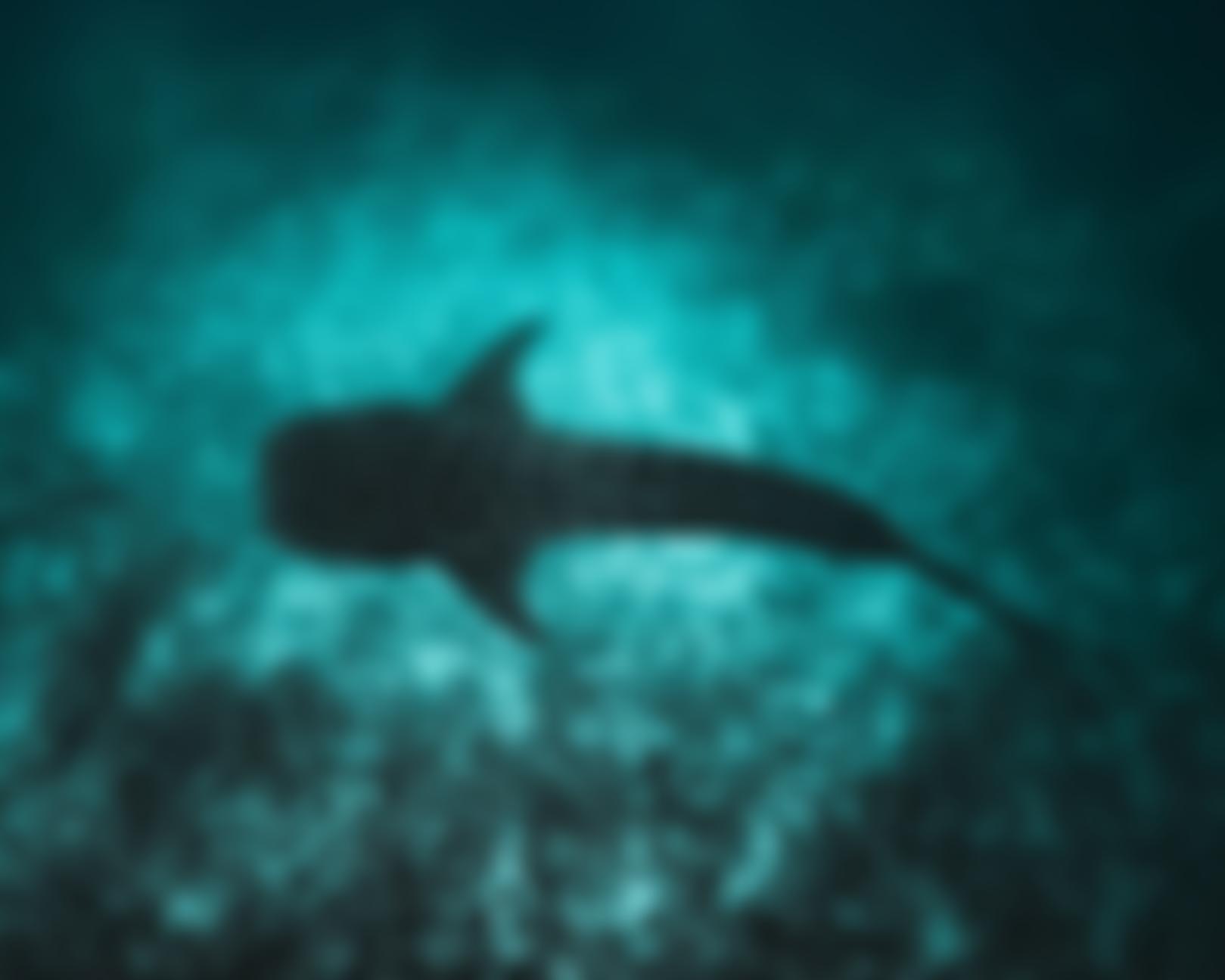 The Marine Biological Association Of The United Kingdom | Charici