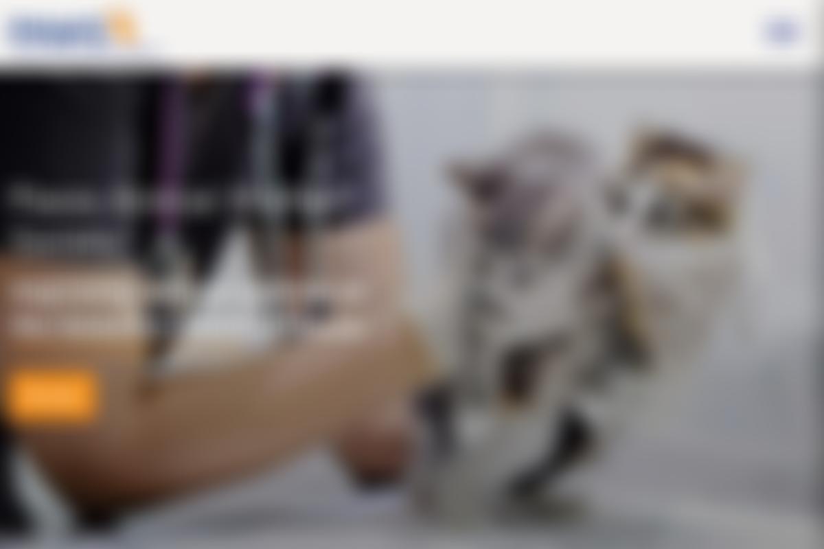 Paxos Animal Welfare Society | Charici