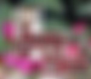 Homeless Kitchen | Charici