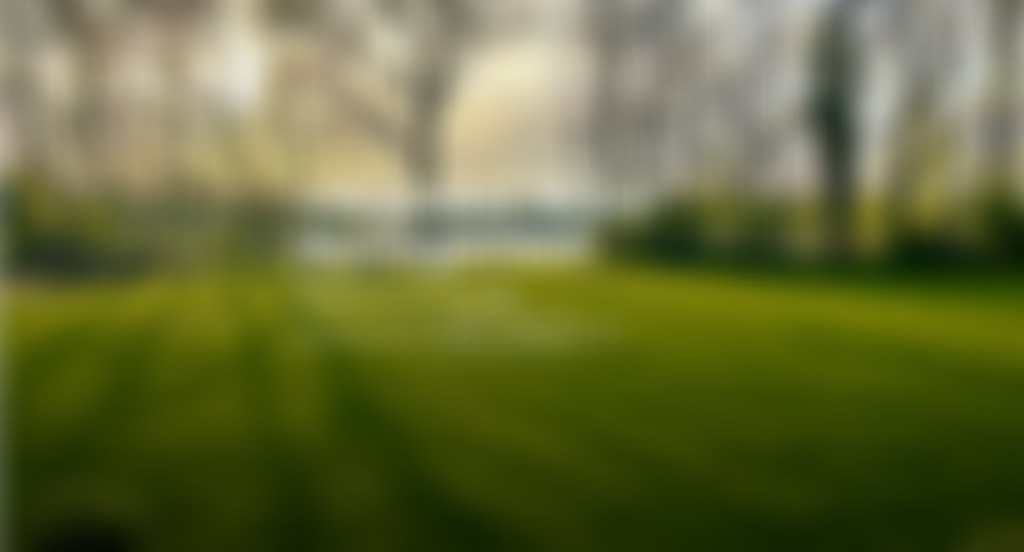 London Parks And Green Spaces Forum | Charici