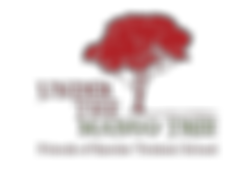 Under The Mango Tree (Friends Of Kambe Timboni School) | Charici