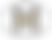 The Lee Charity Of William Hatcliffe | Charici