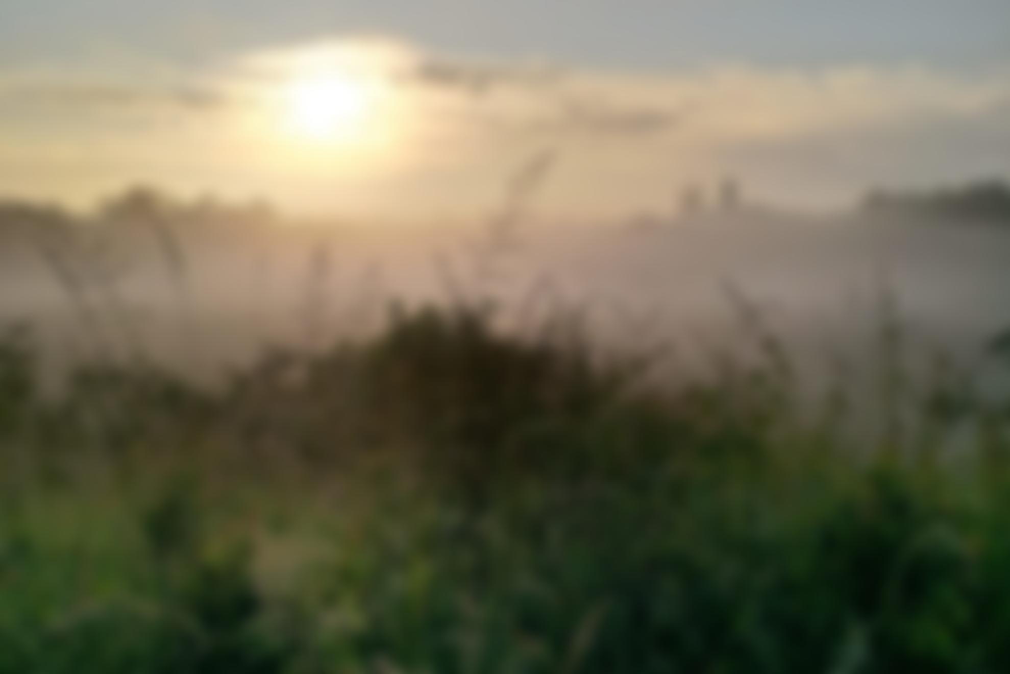 Love Hambrook Marshes Cio | Charici