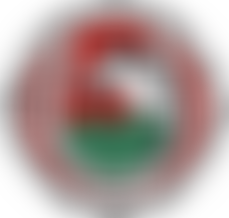 Bryngwyn Riding For The Disabled | Charici