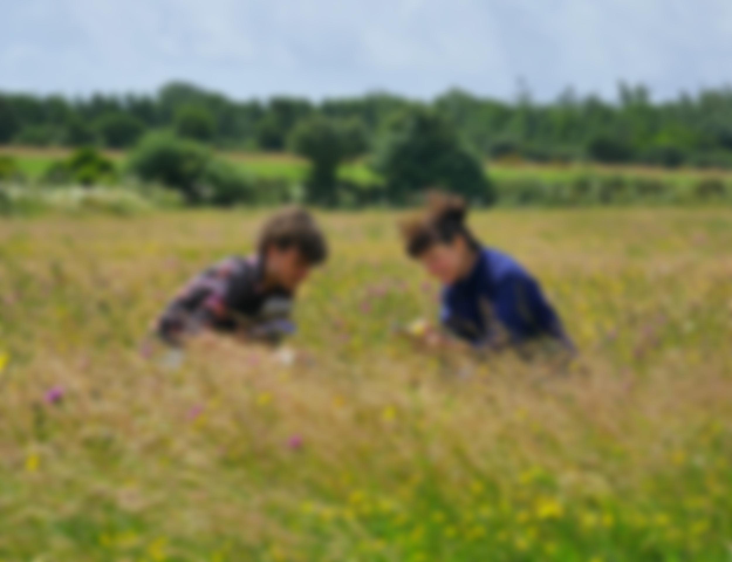 The Kestle Barton Trust | Charici