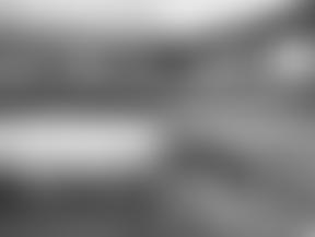 Dorset Chamber Choir | Charici