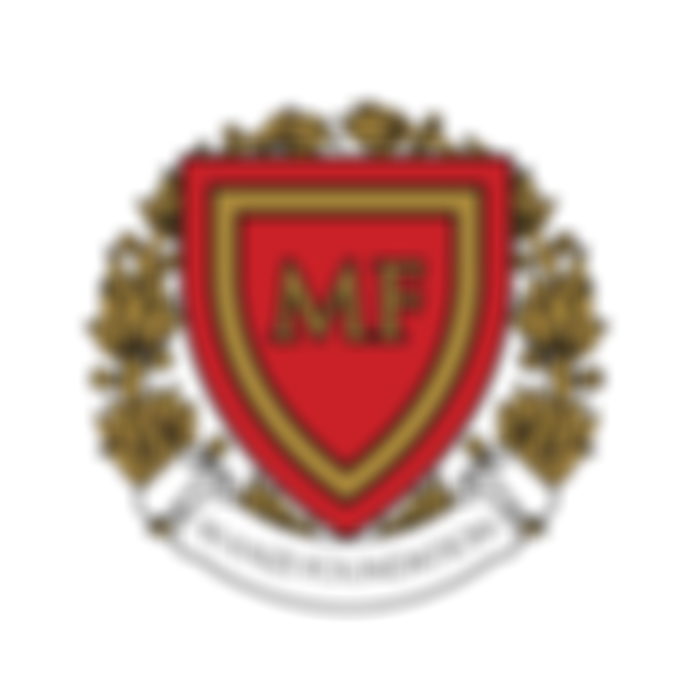 Manzi Foundation | Charici