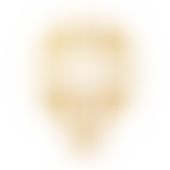 Mulbarton Pcc | Charici