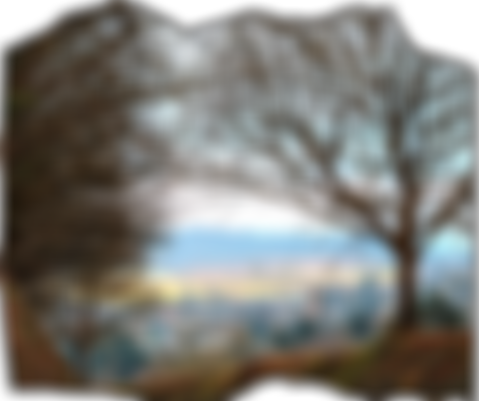 Duchy Preschool And Playgroup | Charici