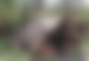 Hands On Heritage | Charici