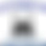 Al Muwassat Community In UK | Charici