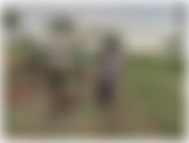 Enable Busoga | Charici