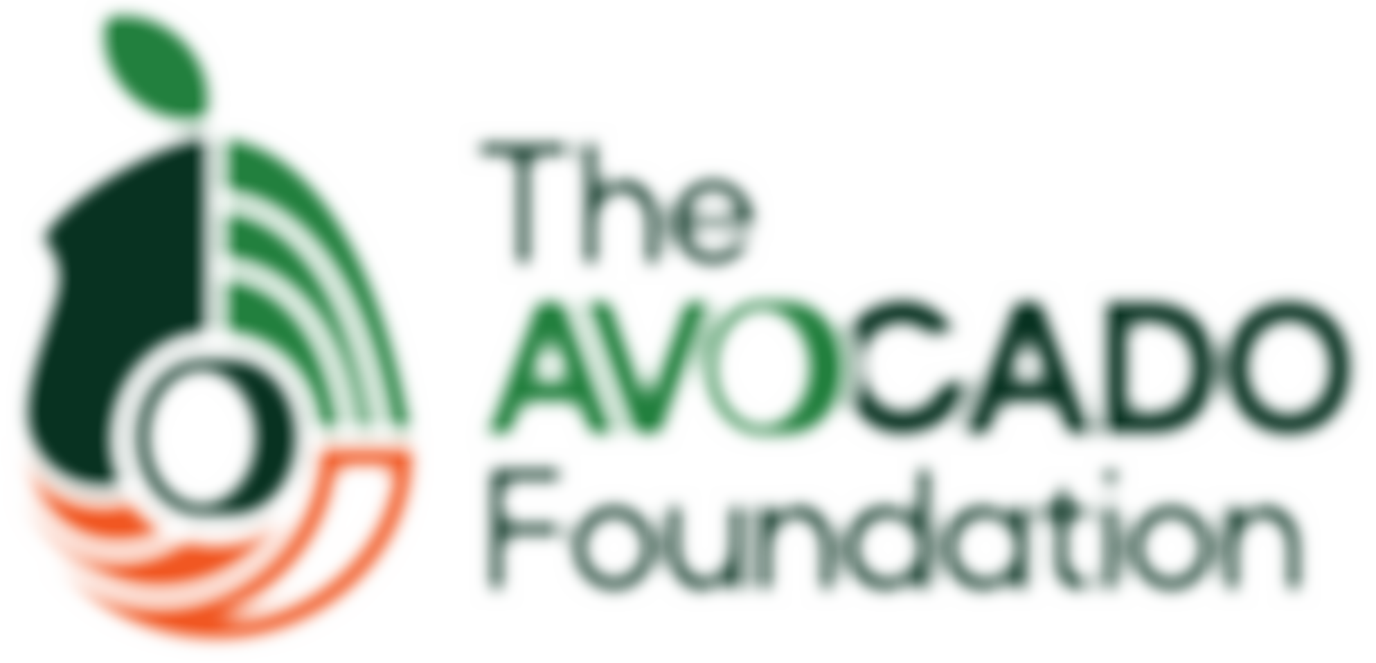 The Avocado Foundation | Charici