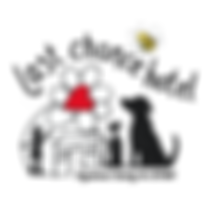 The Last Chance Hotel | Charici