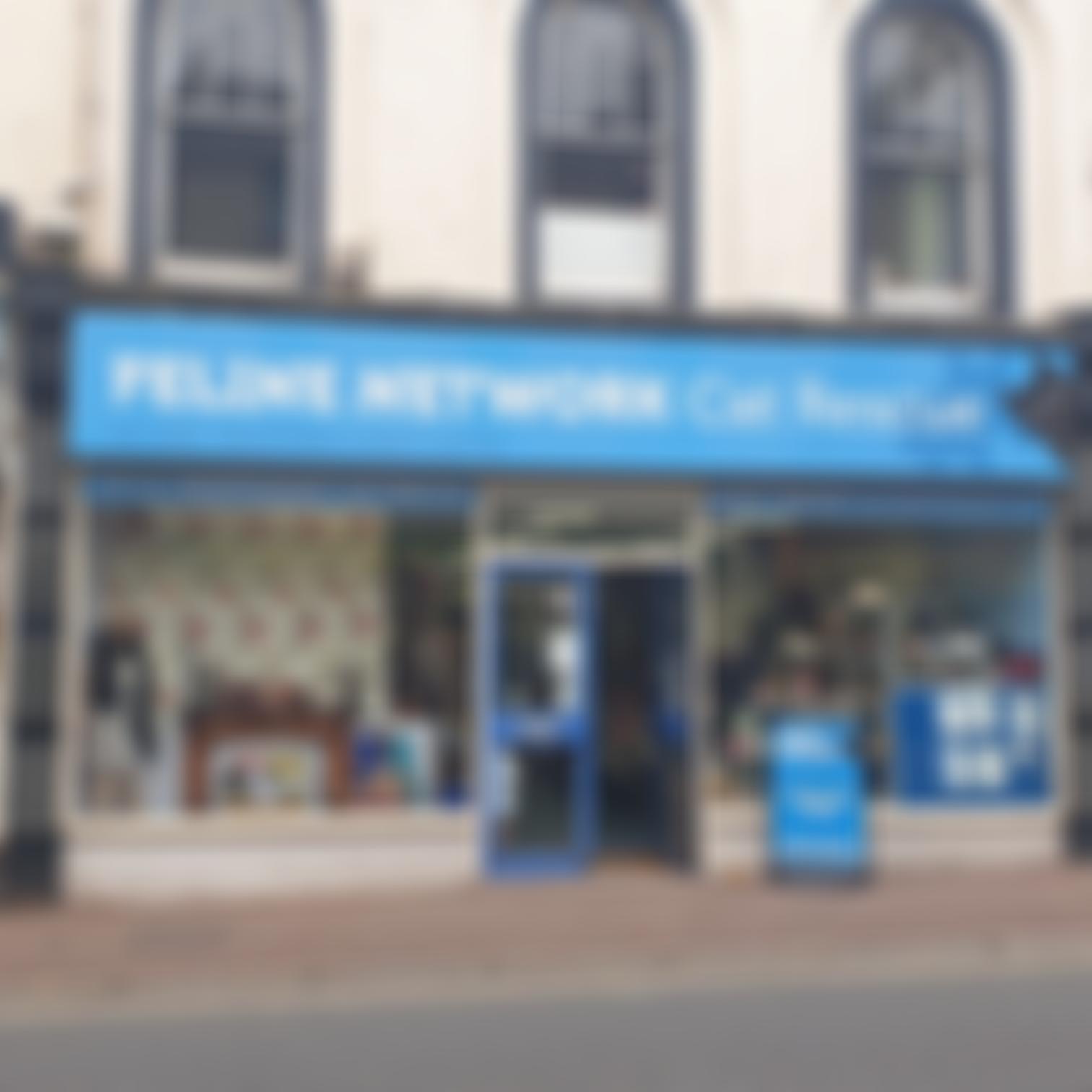 Feline Network Cat Rescue | Charici