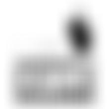 I Am Somebody's Child Soldier | Charici