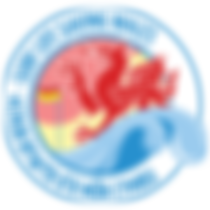 The Surf Life Saving Association Of Wales | Charici