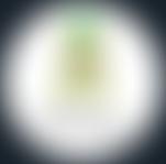 Friends Of Serenity | Charici