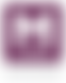 The Mamujee Foundation | Charici