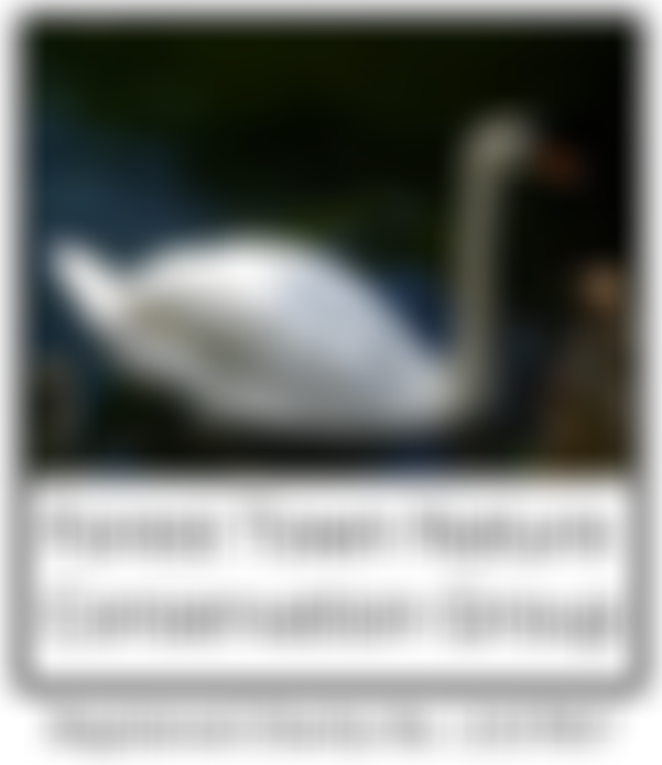 Forest Town Nature Conservation Group | Charici