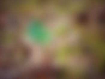 Social History Curators' Group | Charici