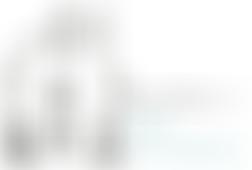 Ymddiriedolaeth Susan Williams-Ellis Foundation | Charici