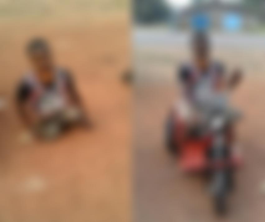 Sierra Leone Education And Development Trust | Charici