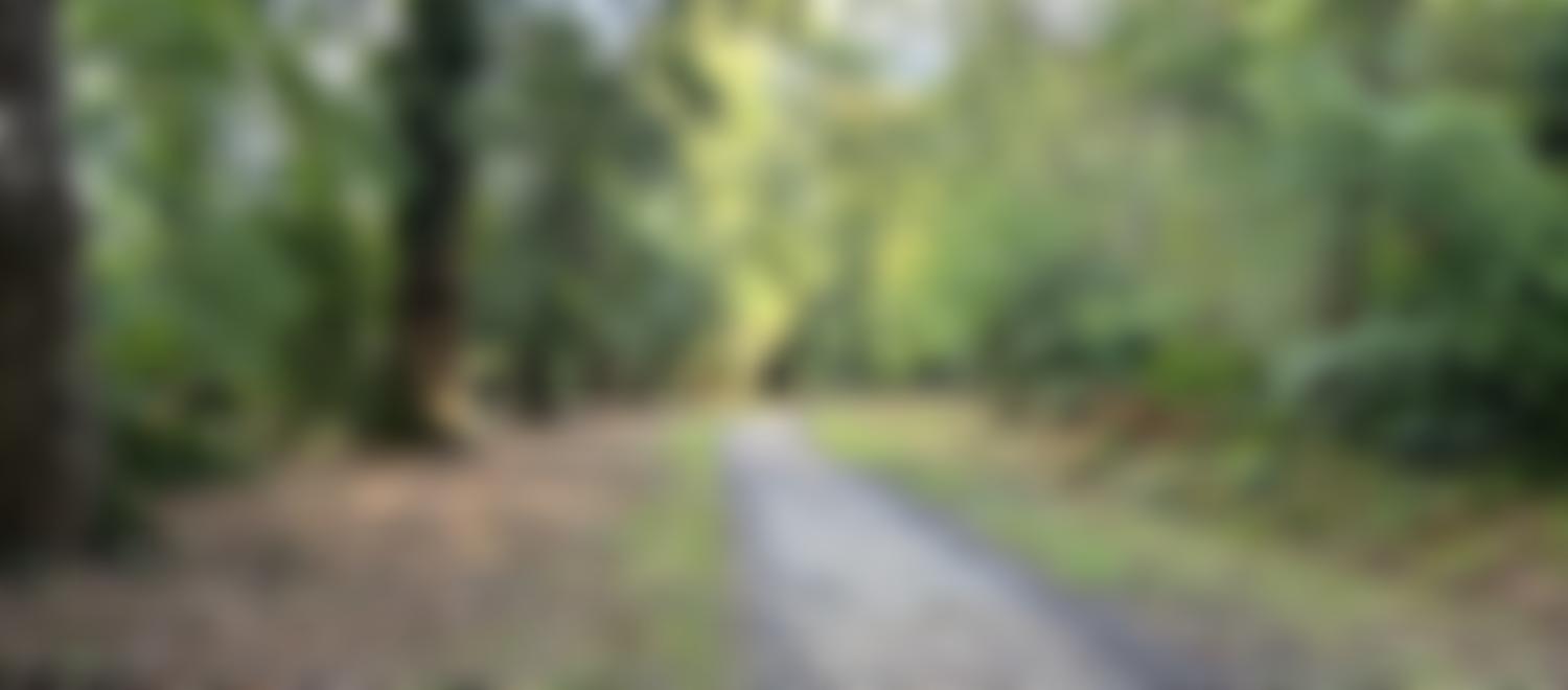 Pondhead Conservation Trust | Charici