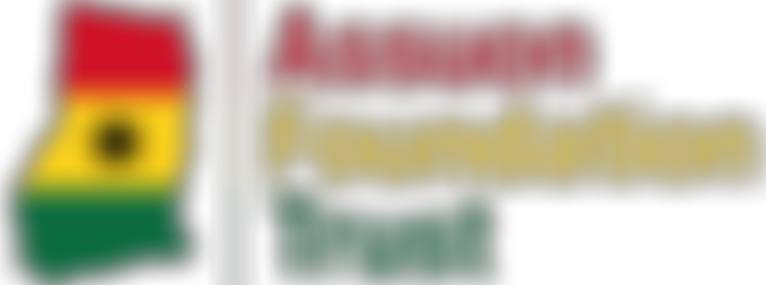 Assuon Foundation Trust | Charici