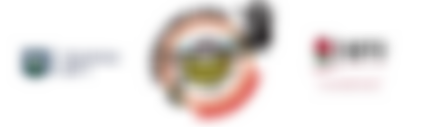 Bumble Bees Mixed Ability Rugby | Charici