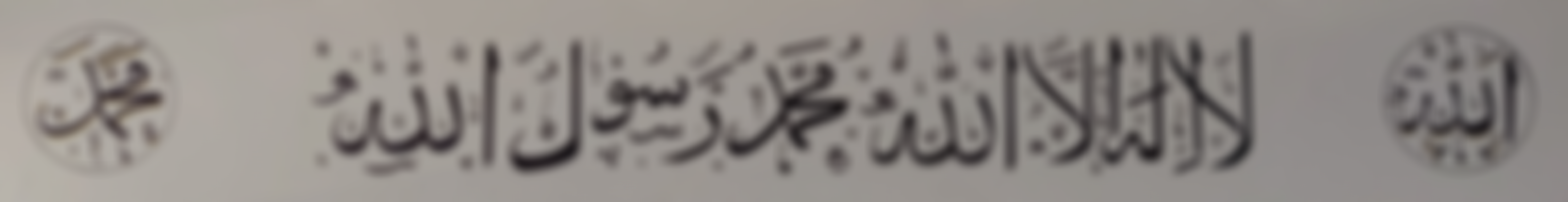 Healey Islamic Trust | Charici