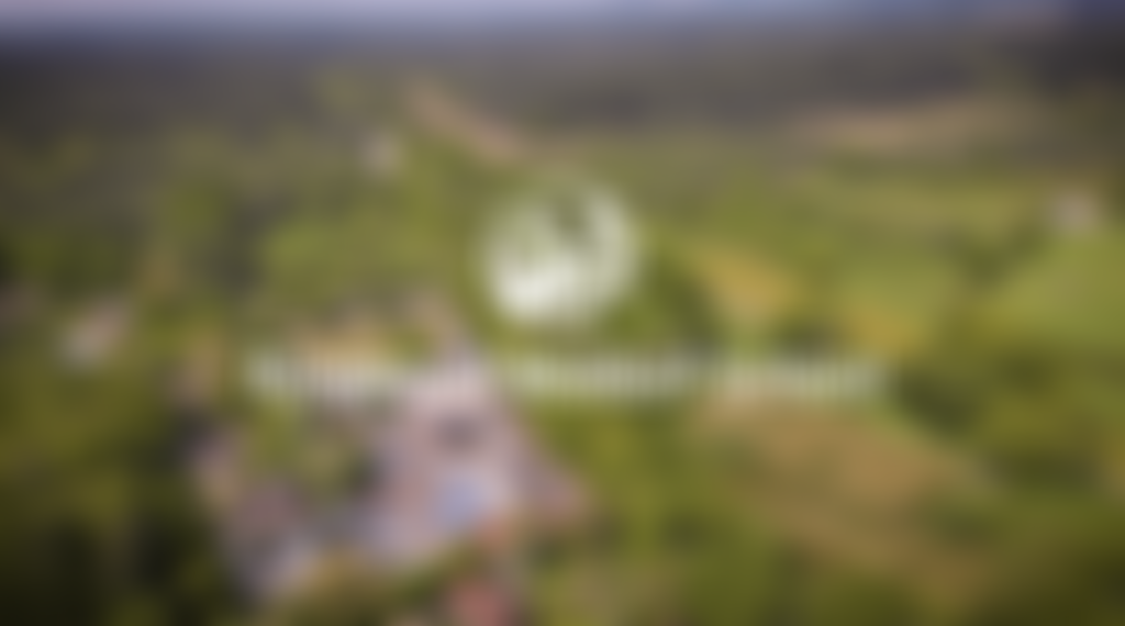 Ringwood Waldorf School | Charici