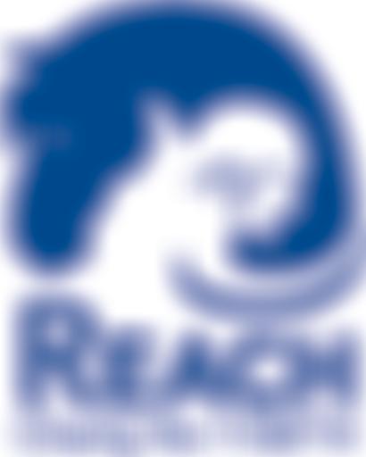 Reach Equine And Outdoor Therapy | Charici