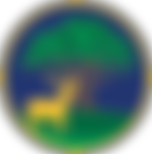 Micklem Primary School Parent Teacher Association | Charici