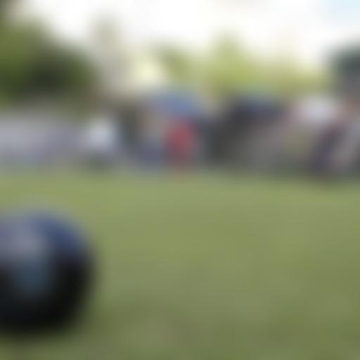 Gwynfi Bowls Club | Charici