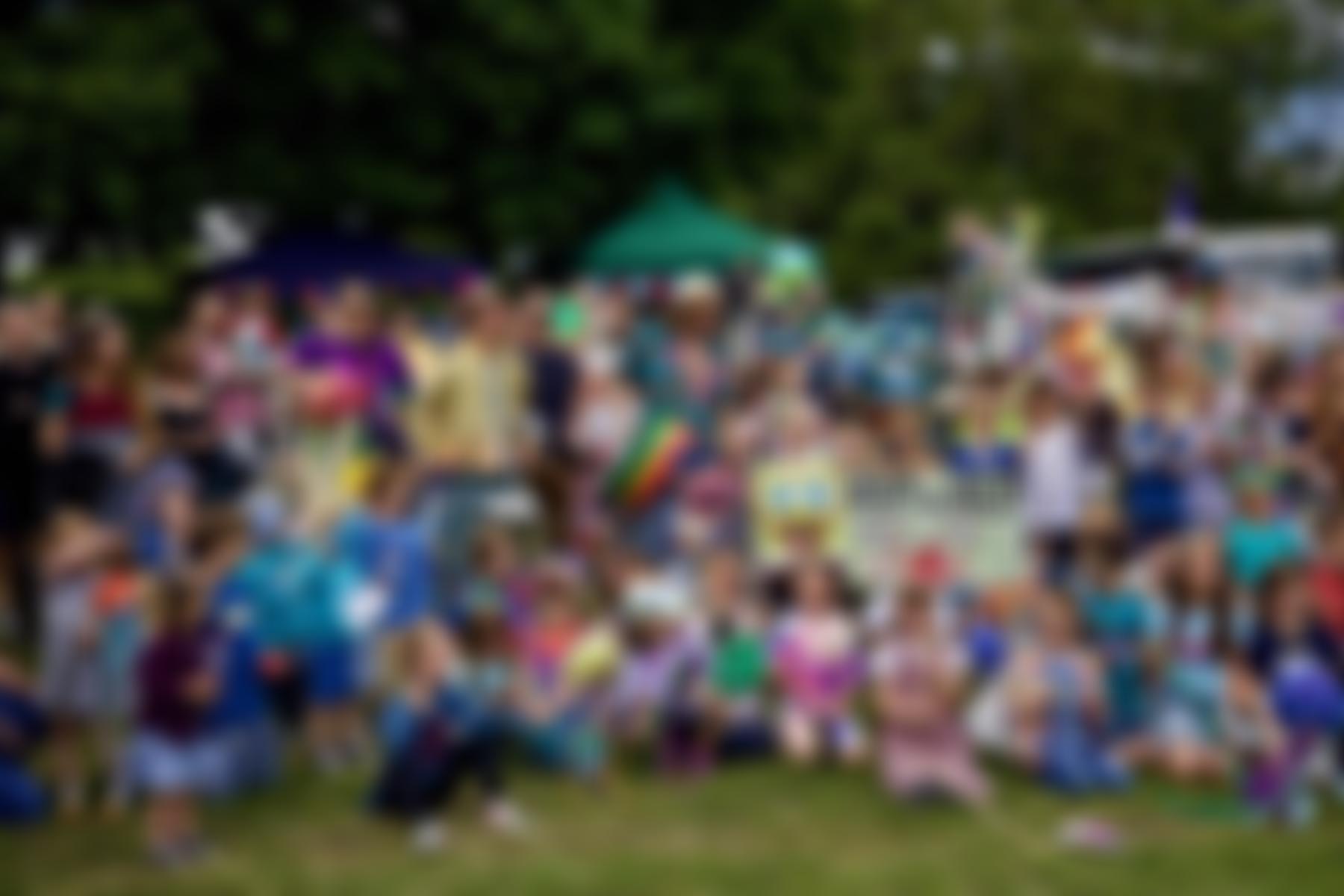 Steyning Festival Limited | Charici