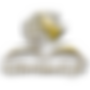 Glorious Life Gospel Centre | Charici