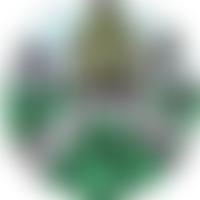 Bryn Residents Action Group | Charici