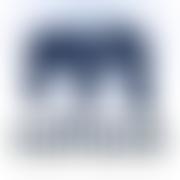 Mahouts Foundation | Charici